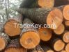 ALDER LOGS FROM LITHUA...