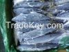 Pacific Mackerel