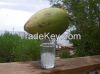 Coconut Water for sale