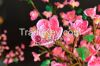 Decorative flower tree for patio garden decoration