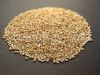 Sesame Seed