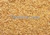 Soft Milling Wheat, 1s...