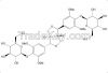 High Purity Eleutheroside E CAS Number 39432-56-9 95.0% (LC)  98.5% (LC&T)   Appointed supplier of SFDA