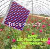 Factroy Price Full Spectrum for greenhouse led grow light manufacturer