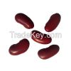 Dark red kidney bean s...