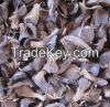 Palm Kernel Shell