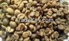 robusta coffee beans f...