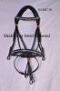Leather Bridle