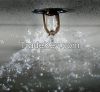 Sprinkler System