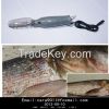 Electric fish scaler S...