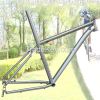 Titanium bike frame