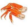 Sea Crab, shrimps