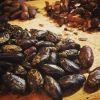 Cocoa Beans