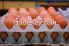 Fresh Table Eggs, whit...