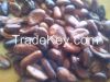 sell cocoa beans from ...