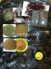 Herbal Product Kratom Powder from Indonesia