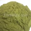 Kratom Powder Extract 50x Mitragyna Speciosa