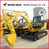 DLS865-10B Crawler Hydraulic Excavator