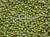 green mung bean