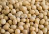 Soybeans Organic Non GMO