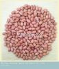 Chinese First Grade Spanish Peanut Kernels with competitive price