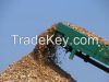 WOOD CHIP WITH GOOD PRICE