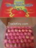 Export of fresh fruit /  jiguan /qinguan /Fuji apple