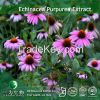 Echinacea Purpurea Ext...