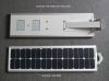 20W  Integrated Solar Garden Light