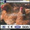 welded rabbit cage wire mesh