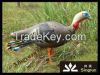 3D turkey XPE hunting decoys