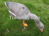Feeder goose decoy for hunter hunting