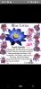 blue lotus tea flowers
