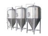 brewery fermentation t...