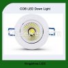 COB led ceiling down light