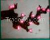 The LED Lightings