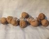 Walnuts Hazelnuts from...