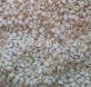 Humera white Sesame seed