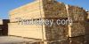 Lumber Of Coniferous-P...