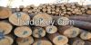 Sawlogs Of Coniferous ...