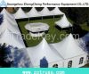 large exhibition performance big event pvc tent with clear window