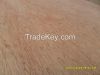 Bing Tangor Faced Plywood