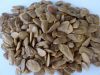 Akuamma Seeds(Picralim...