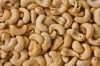 Cashew nuts , Cashew N...