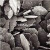 Crystalline Flake Grap...