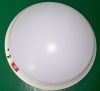 12W LED emergency ceiling lamp