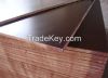 18mm film coated Plywood