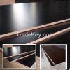 Brown/Black Film Faced Construction Plywood