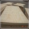 Low Price construction Plywood