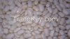 Red Speckled Sugar Beans/Purple Speckled Kidney Beans/White Kidney Beans/Jugo Beans